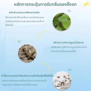 🦎ไม่มีตุ๊กแกในบ้านทั้งหมด🦎SKy ยาไล่จิ้งจก ไล่จิ้งจก ยาฆ่าจิ้งจก ยาไล่ตุ๊กแก ซื้อ 1 แถม 1 สูตรเยอรมัน ปลอดภัยไร้สารพิษ
