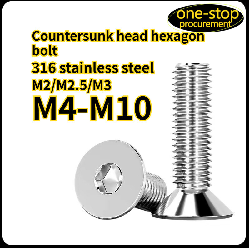 316 สแตนเลสสตีลหัวจมหกเหลี่ยมสกรู M2/M2.5/M3/M4/M5/M6/M8/M10 * L4-100 มม. DSX001