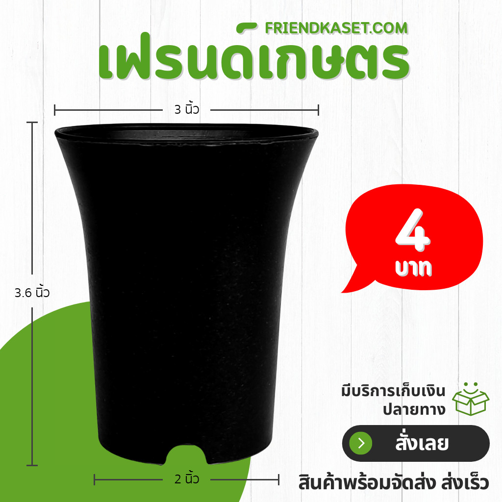 กระถาง กระถางแคคตัส กระถางปากแตร 3 นิ้ว สีดำ ขั้นต่ำ 10 ใบ ชิ้น อัน