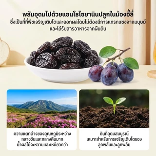 อุดมไปด้วยแอนโทไซยานิน บลูเบอร์รี่แห้ง บลูเบอร์รี่ การตรวจสอบคุณภาพทีละชั้น วัตถุดิบคุณภาพสูง ไม่มีแกนกลาง แช่แข็ง บลูเบอร์รี่แห้ง แห้ง 50กรัม/ถุง อาหารอร่อย เป็นธรรมชาติ