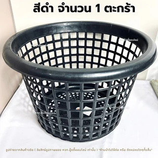 ตะกร้าทรงกลม ตะกร้าเพาะเห็ด ตะกร้าดำ เพาะเห็ดฟาง (2002) (โกเด้น) พลาสติกเหนียว รูใหญ่