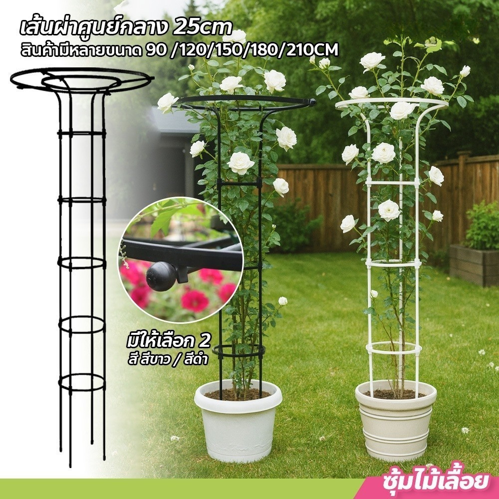 ซุ้มไม้เลื้อย ทรงร่ม สูง เถาวัลย์ ดอกไม้ยึด ซุ้มไม้ระแนง ซุ้มกุหลาบ ซุ้มกุหลาบเลื้อย โครงกุหลาบเลื้อย ซุ้มไม้เลื้อย