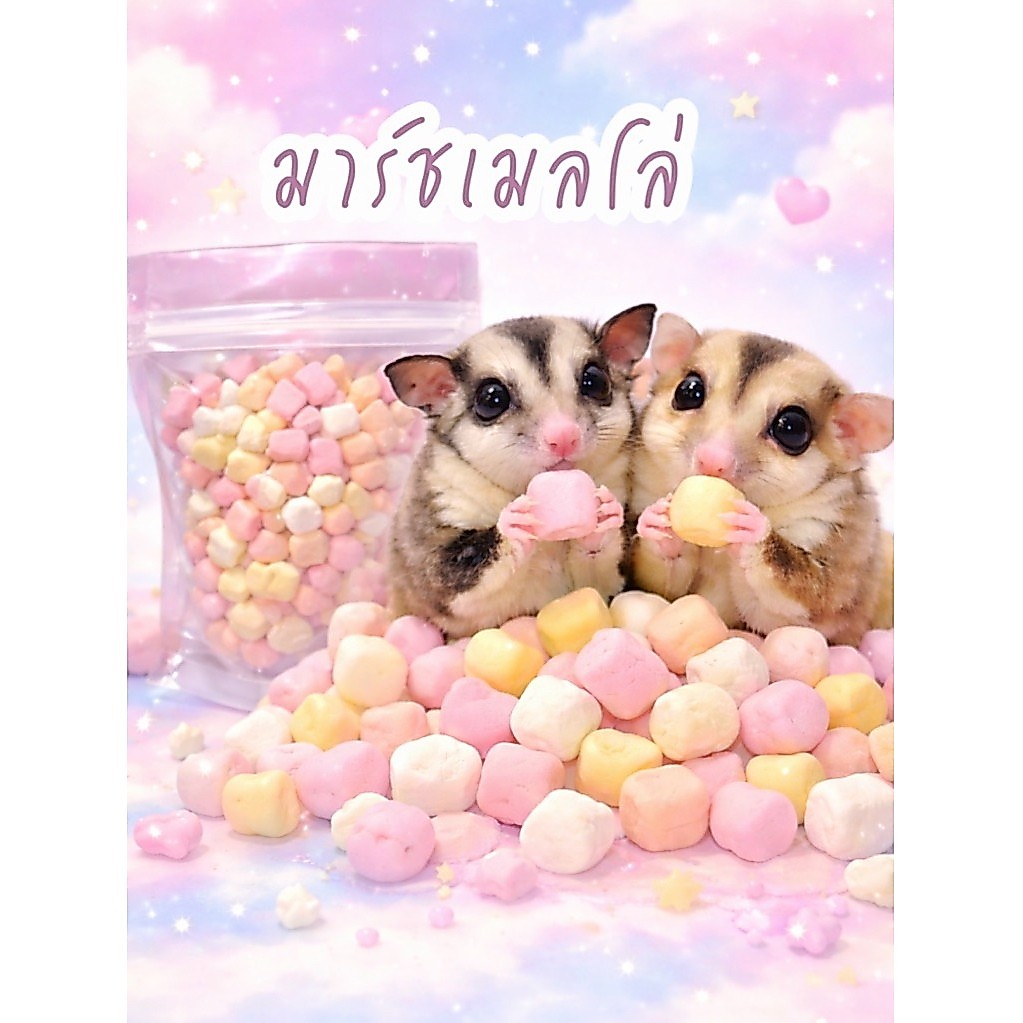 มาร์ชเมลโล่ขนมชูการ์ไรเดอร์และสัตว์เล็ก ขนมสีสันสดใส สำหรับสัตว์เลี้ยงเล็กๆ