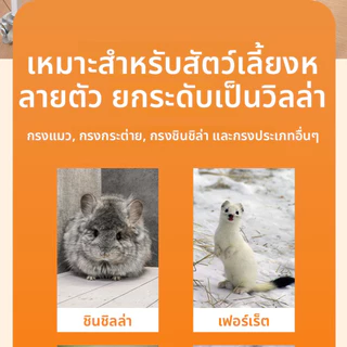 แผ่นรองกรงสัตว์เลี้ยง ปรับปรุงกรงแมว แพลตฟอร์มกรงแมว ปรับได้ สะดวกสำหรับสัตว์เลี้ยง การปรับปรุงกรง