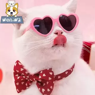 wen.W2 🐱🐶แว่นกันแดดสุนัขแมว แว่นตาสัตว์เลี้ยง ตุ๊กตาแมว แว่นตาดอกทานตะวันเล็ก
