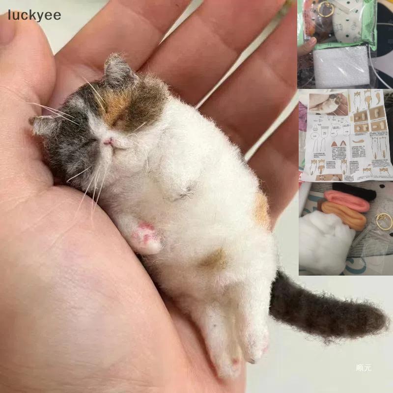 Luckyee แกะ Felt Poke Cat Handmade วัสดุกระเป๋าสําหรับเริ่มต้น Diy ขนสัตว์เข็ม Felting จําลองสร้างสร
