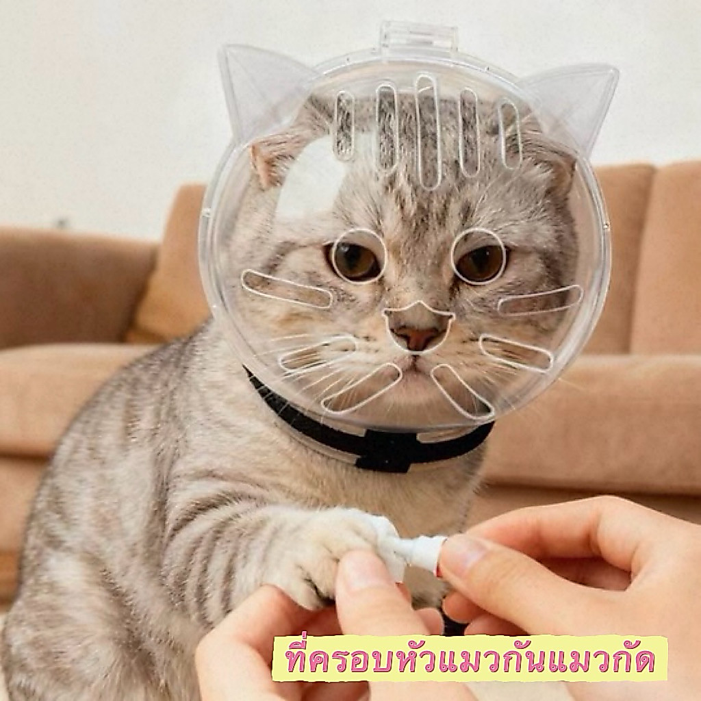 พร้อมส่งในไทย! ที่ครอบหัวแมวกันแมวกัด ป้องกันการกัดและเลีย น้ำหนักเบา ใช้งานง่าย
