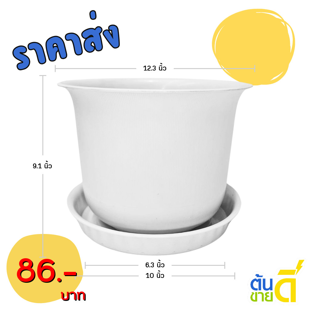 กระถาง กระถางต้นไม้ มินิมอล ถ้วยจีน+จาน ขนาด 12 นิ้ว สีขาว Bundle 5 ใบ ชิ้น อัน
