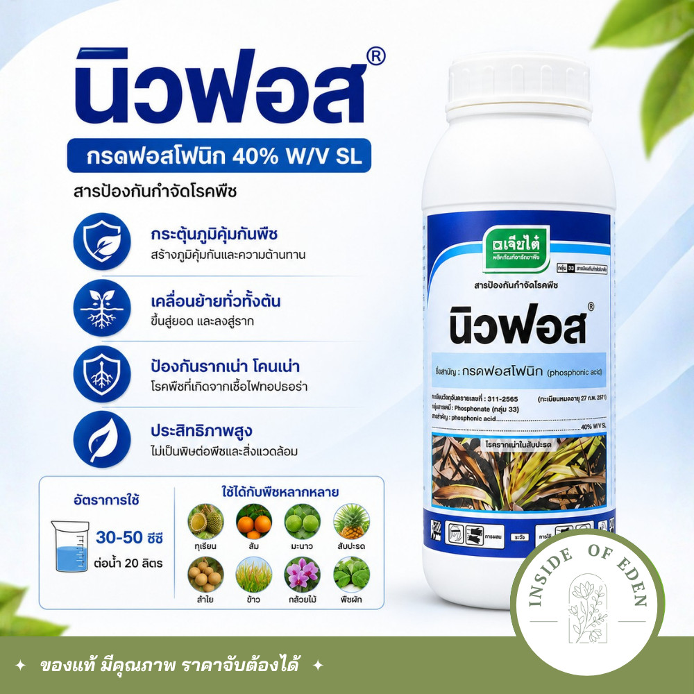 นิวฟอส เจียไต๋ กรดฟอสโฟนิก 1 ลิตร ยาเชื้อราป้องกันโรคผลเน่า