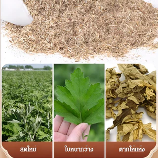 หมอนรองคอโกฐจุฬาลัมพาแบบอุ่น บรรเทาปวดคอและไหล่ ผ่อนคลายกล้ามเนื้อ ช่วยให้นอนหลับสบาย ฟื้นฟูต้นคอ เครื่องทำความร้อนไฟฟ้า ใช้ได้ที่บ้านและออฟฟิศ
