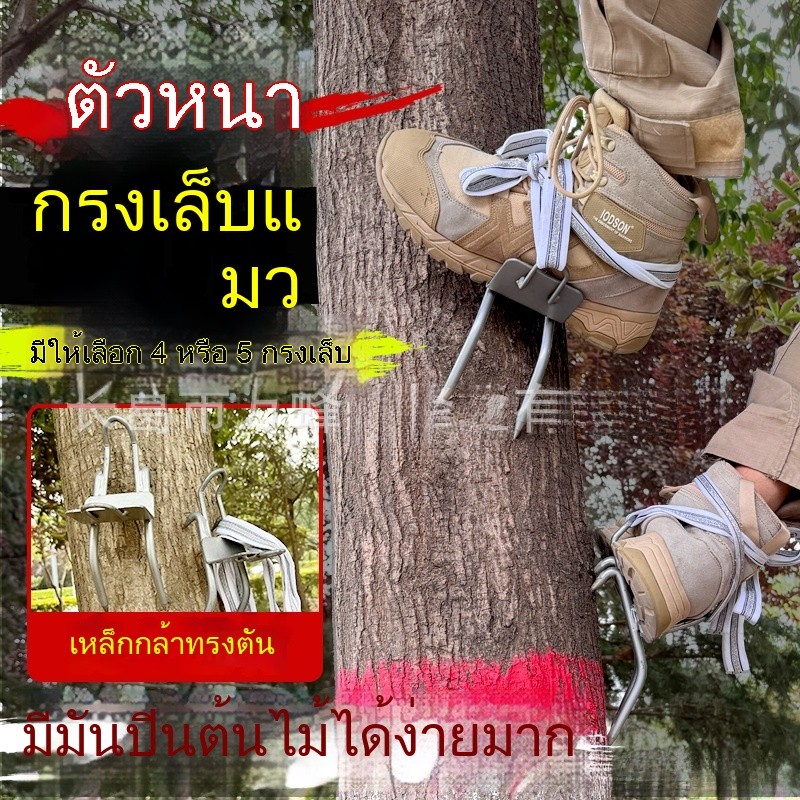 อุปกรณ์ปีนต้นไม้ เหล็กสแตนเลส แบบกรงเล็บ แท่นเหยียบปีนต้นไม้ สำหรับจับตัวต่อ