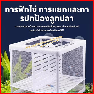 กล่องแยกปลา กล่องแยกเลี้ยงปลา ตาข่ายแยกปลา ฟักไข่ แยกปลาป่วย แยกลูกกุ้ง ปลากัด ลูกปลา ทนทานใช้งานได้ดี