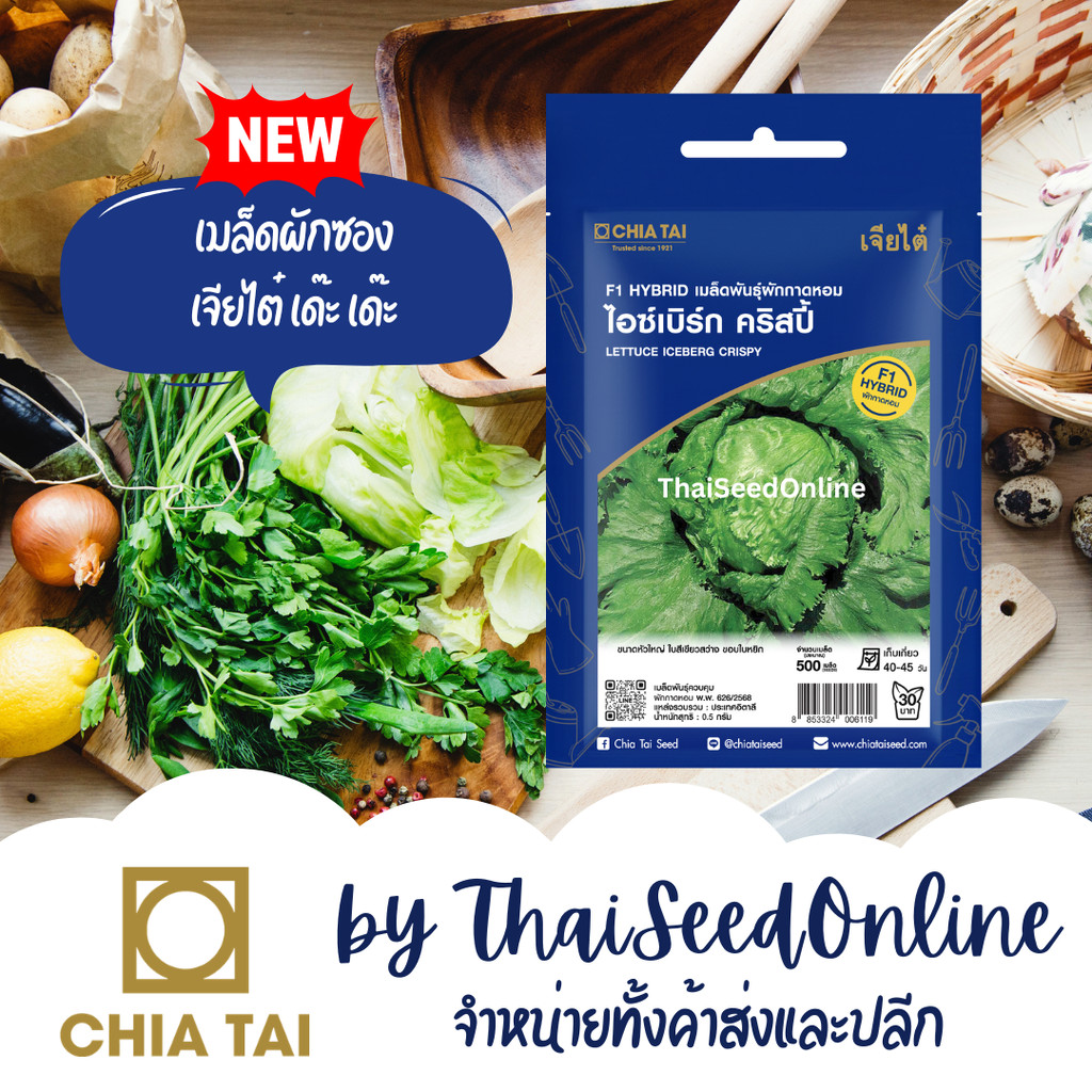 CTSE เมล็ดพันธุ์ ผักกาดหอม ไอซ์เบิร์ก คริสปี้ 0.5 กรัม ตราเจียไต๋ Iceberg Crispy