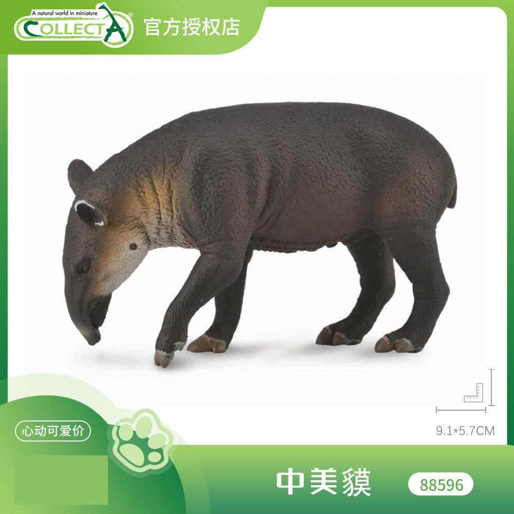 88596 Sino American Tapir CollectA สัตว์รุ่น Early Education ของเล่นของขวัญวันเกิด