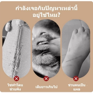 VELOREE แผ่นขูดแมว เสื่อพรมแมว ที่ลับเล็บแม ทนต่อรอยขีดข่วน ป้องกันเฟอร์นิเจอร์ สามารถล้างได้ พรมลับเล็บแมว