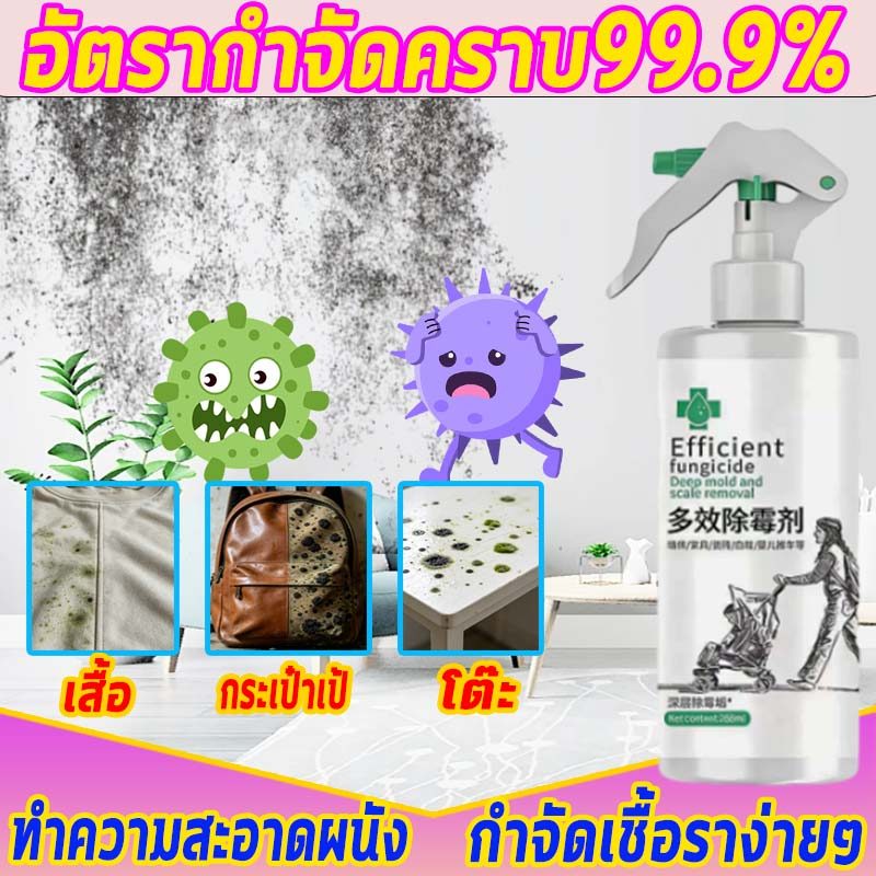 ⚡ฉีดเดียวเชื้อราหาย✨สเปรย์กำจัดเชื้อรา น้ำยากำจัดเชื้อรา น้ำยากำจัดเชื้อราอเนกประสงค์ น้ำยากำจัดเชื้อราบนผนังและเสื้อผ้า