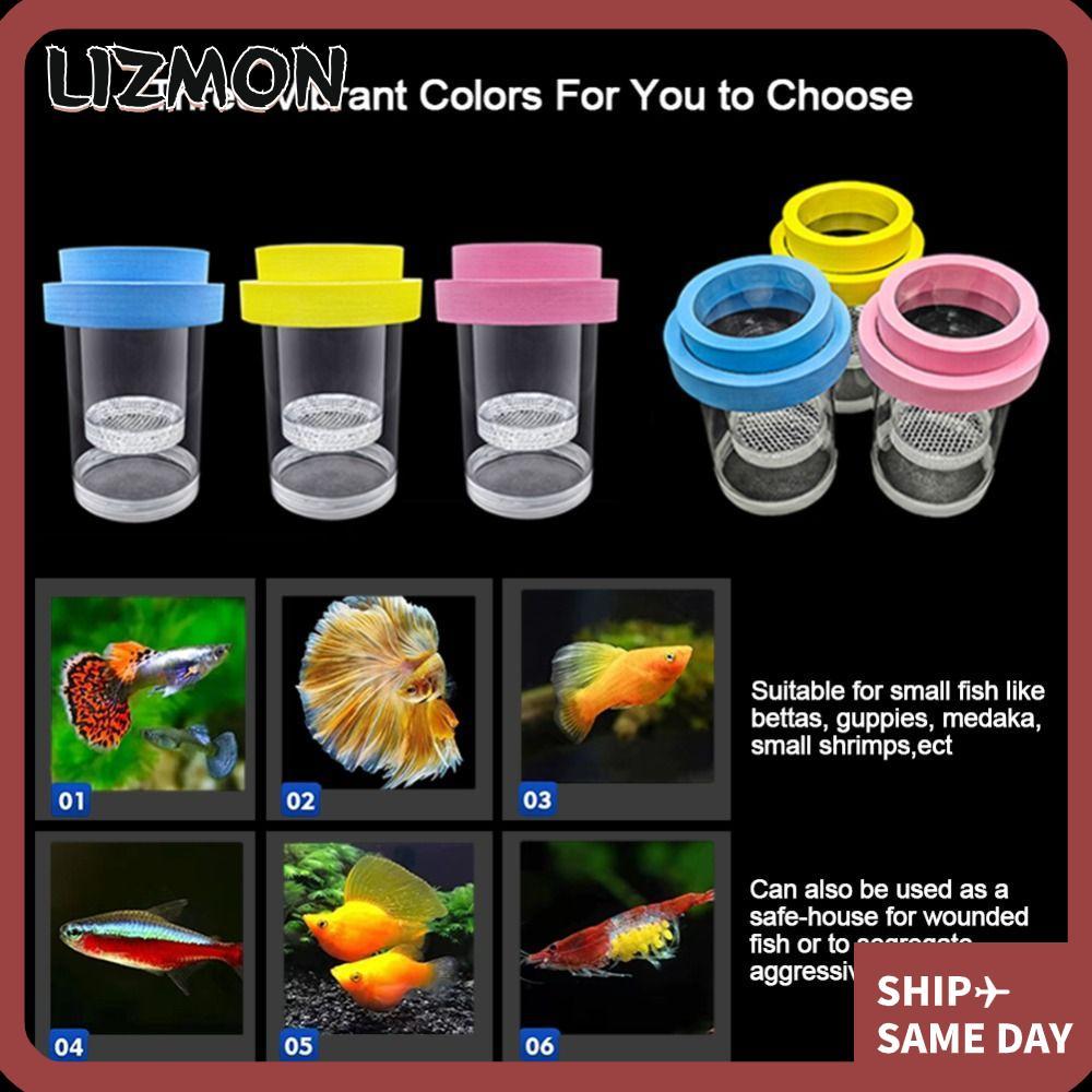 LIZMON กล่องแยกพันธุ์ปลาลอย, กุ้ง Guppy Aquarium Breeder กล่องฟักไข่ลอย, ตาข่ายพลาสติกที่ถอดออกได้โปร่งใสฟักไข่กล่อง Breeder