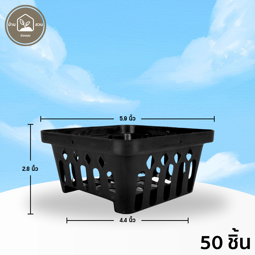 กระถาง กระถางกล้วยไม้ กระถางแขวน สี่เหลี่ยม 6 นิ้ว 10 25 50 100 ใบ ชิ้น