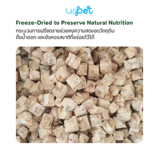 ปลาค็อด Freeze-Dried ฟรีซดราย สุนัขและแมว เกรดพรีเมียม 50g GUMMI BITES