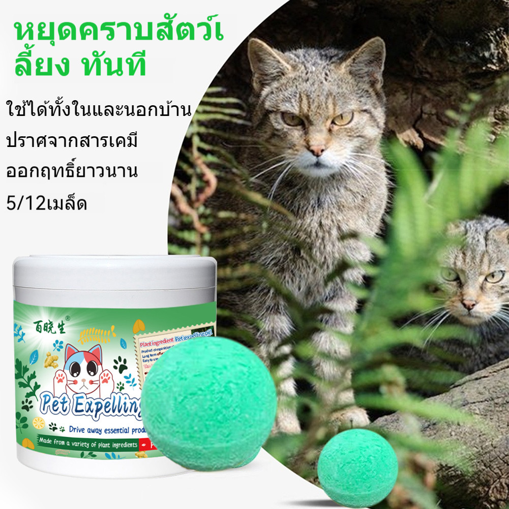Cat Dog Repellent Blocks Plant Based Natural Safe for Pets Long Lasting for Home Car Garden 5 12 Pcs