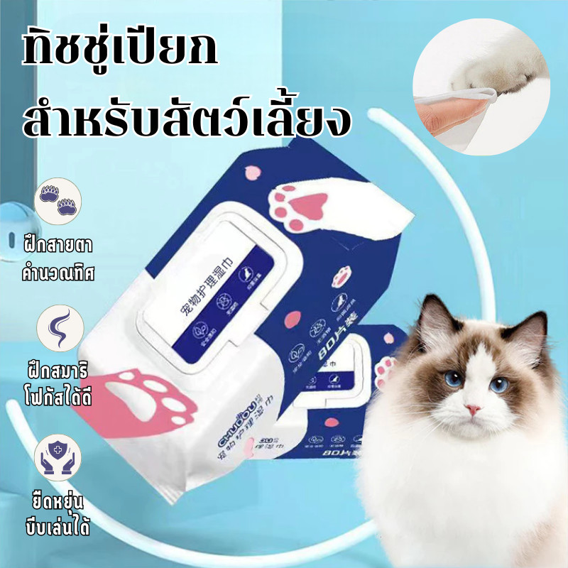 COD ทิชชู่เปียก 80 แผ่น สำหรับเช็ดสัตว์เลี้ยง ทิชชู่เปียกสัตว์เลี้ยง ทิชชู่เปียก