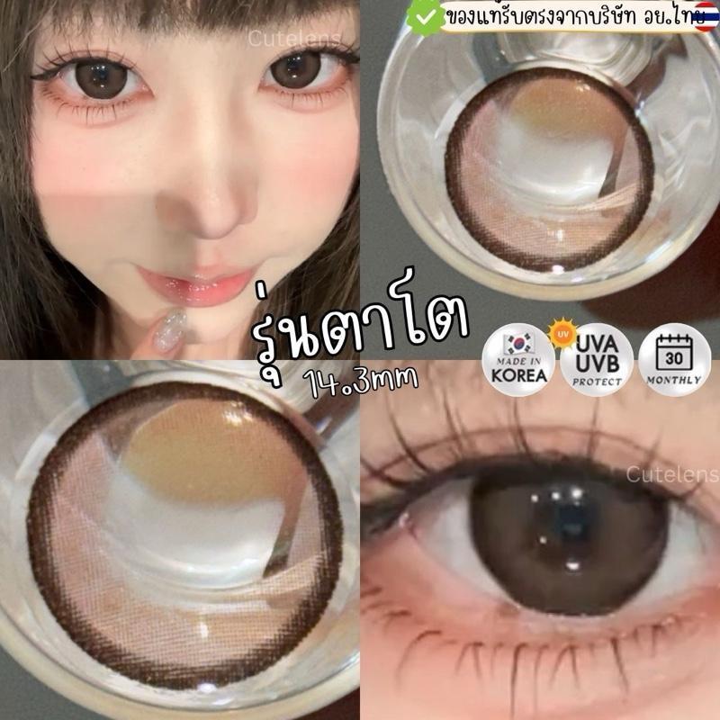 Brown รุ่นตาโต 14.3mm เลนส์ไฮโดรเจล นิ่มใส่สบาย คอนแทคเลนส์ไทย รายเดือน คอนแทคเลนส์สีน้ำตาลตาโต