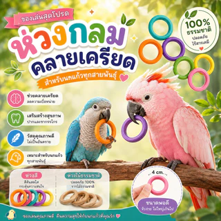 parrot.thailand ของเล่นนกแก้ว ห่วงไม้กลมคลายเครียด 4cm ห่วงไม้แท้ธรรมชาติ ของเล่นนก ฝึกทักษะ สำหรับนกแก้วทุกสายพันธุ์