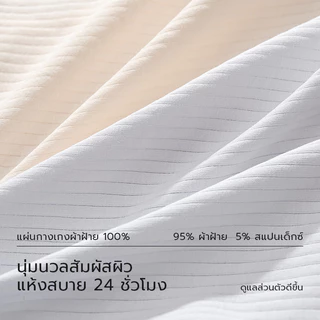 EVERGREEN🌱กางเกงในผู้หญิง ไซส์ใหญ่ เอวสูง ผ้าฝ้ายแท้ 100% ต้านจุลินทรีย์ ระบายอากาศดี ป้องกันภูมิแพ้ ไม่พับขอบ