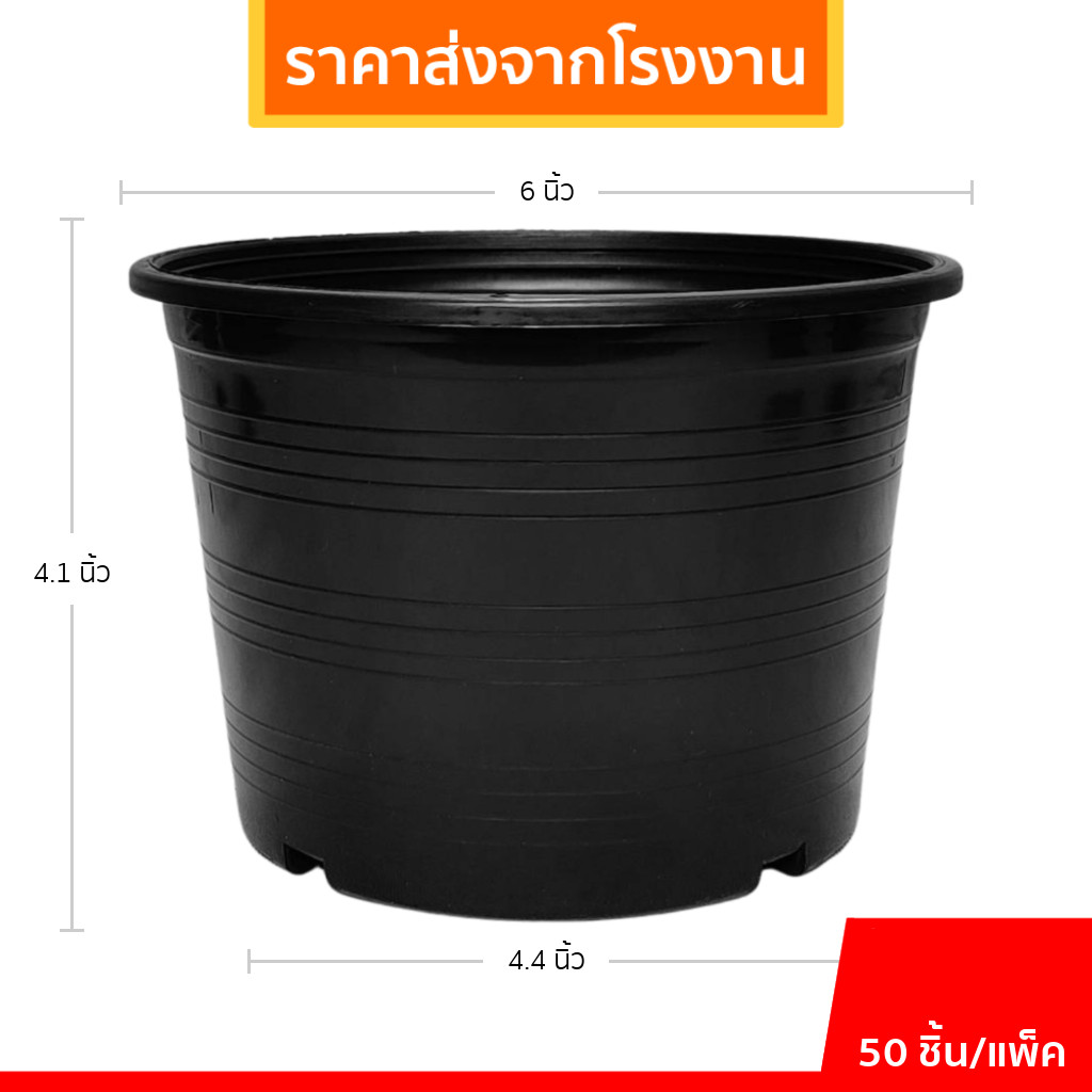 กระถาง กระถางพลาสติก กระถางต้นไม้ เบอร์ 6 นิ้ว สีดำ ยกมัด 50 ใบ ชิ้น