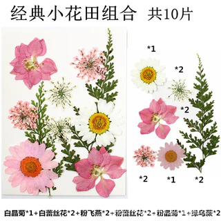 15pcs แพคเกจขนาดเล็กน่ารัก ดอกไม้แห้งดอกไม้จริงบุ๊คมาร์คเรซิ่นหยดกาววัสดุ DIY