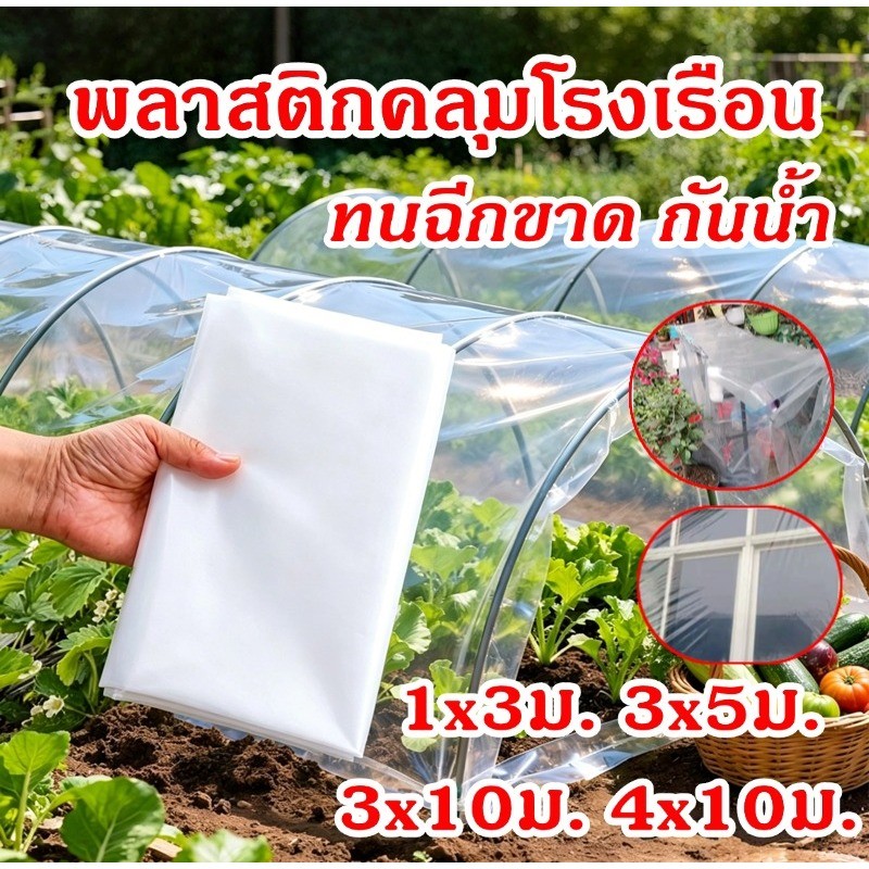 พลาสติกคลุมโรงเรือน ส่งผ่านแสง100% กรีนเฮ้าส์ หนา 100-150 ไมครอน ทนฉีกขาด กันน้ำ UV สูง มีไซส์ 1x3 3x5 3x10 4x10 ม.
