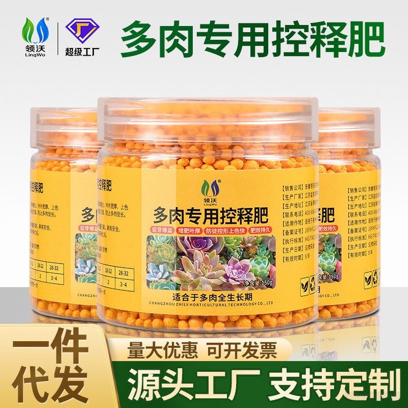 Ling Wo Succulent Fertilizer Controlled Release Long-lasting for Home Garden Balcony Potted Plant 8z