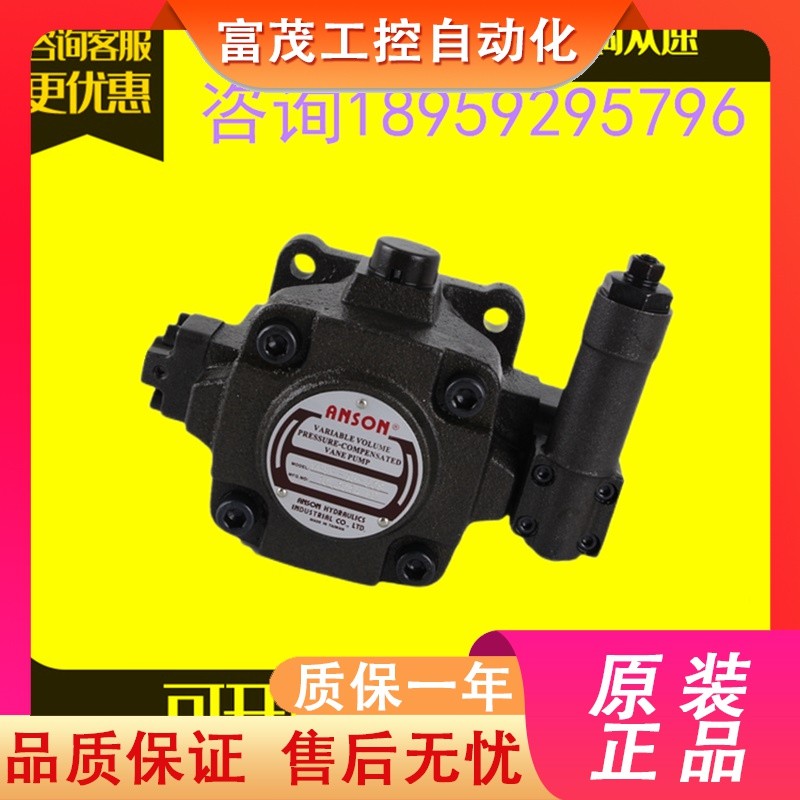 ไต้หวัน ANSON ANSON VP5F/VP6F-A2/A3/A4/A5/B2/B3/B4/B5-50/50S ปั๊มใบ