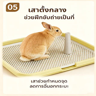 ห้องน้ํากระต่าย ถาดปัสสาวะกระต่าย ขนาดใหญ่ ถอดได้ ทำความสะอาดง่าย ช่วยระบุจุด ไม่ติดเท้า
