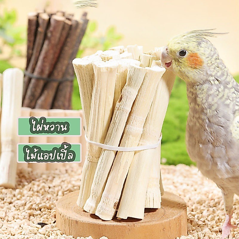 ของเล่นลับฟันสำหรับนกค็อกคาเทล ชุดลับฟัน ไผ่หวาน ไม้แอปเปิ้ล  ช่วยคลายความเบื่อและสร้างความบันเทิง นกขัดฟัน