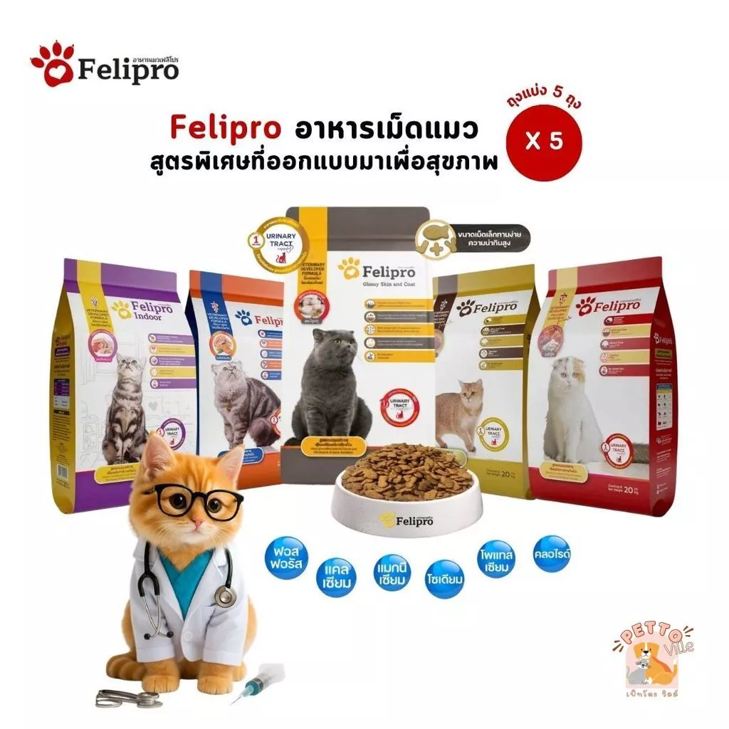 Felipro เฟลิโปร อาหารเม็ดแมว [5 ถุง] สูตรพิเศษที่ออกแบบมาเพื่อสุขภาพที่ดีของแมวทุกสายพันธุ์ ขนาด 1 กิโลกรัม (ถุงแบ่ง)