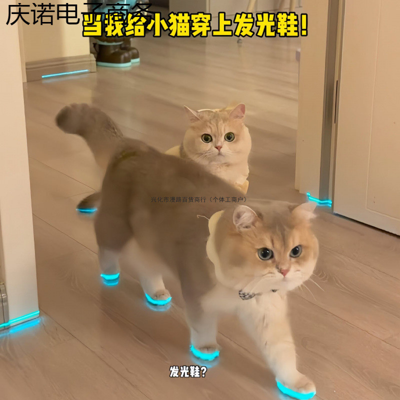 Cat Luminous Cating.my20260610