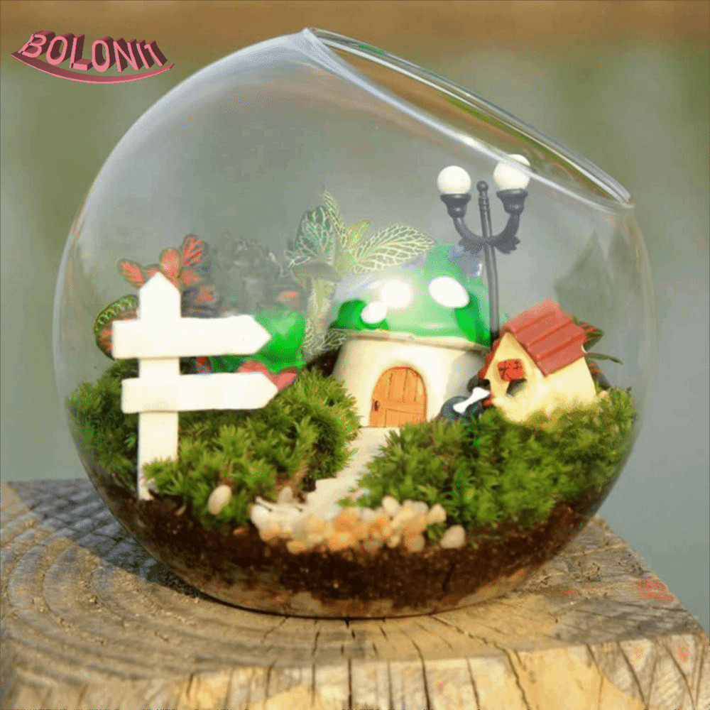 BO Borosilicate แจกันแก้ว, แก้ว Borosilicate เฉียง แจกันแก้วใส, คอนเทนเนอร์บอล 8/10/12/16 ซม.ใสพืช Terrarium งานแต่งงาน Party