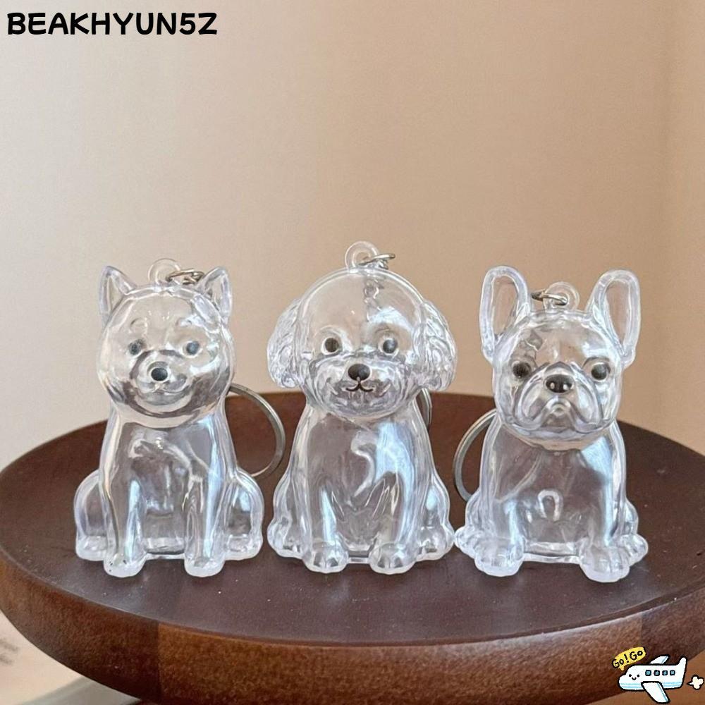 BEAKHYUN5Z พวงกุญแจของที่ระลึกแบบพกพา, แคปซูลเก็บขนสัตว์ดีไซน์แฮนด์เมดจี้เก็บขนสุนัข, ของขวัญอุปกรณ์ DIY คอนเทนเนอร์ขนสัตว์เลี้ยงโปร่งใสคนรักสัตว์เลี้ยง