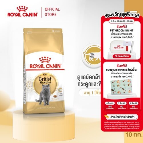 Royal Canin British Shorthair Adult 10kg อาหารเม็ดแมวโต พันธุ์บริติช ชอร์ทแฮร์ อายุ 12 เดือนขึ้นไป (โรยัล คานิน)