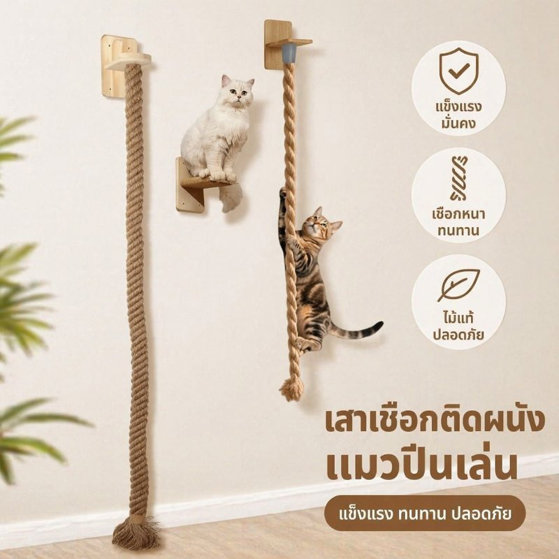 แผ่นลับเล็บแมว แขวนผนัง เชือกปีนแมว เสาลับเล็บ ซิซาล ของเล่นแมว ประหยัดพื้นที่ แมวทุกวัย