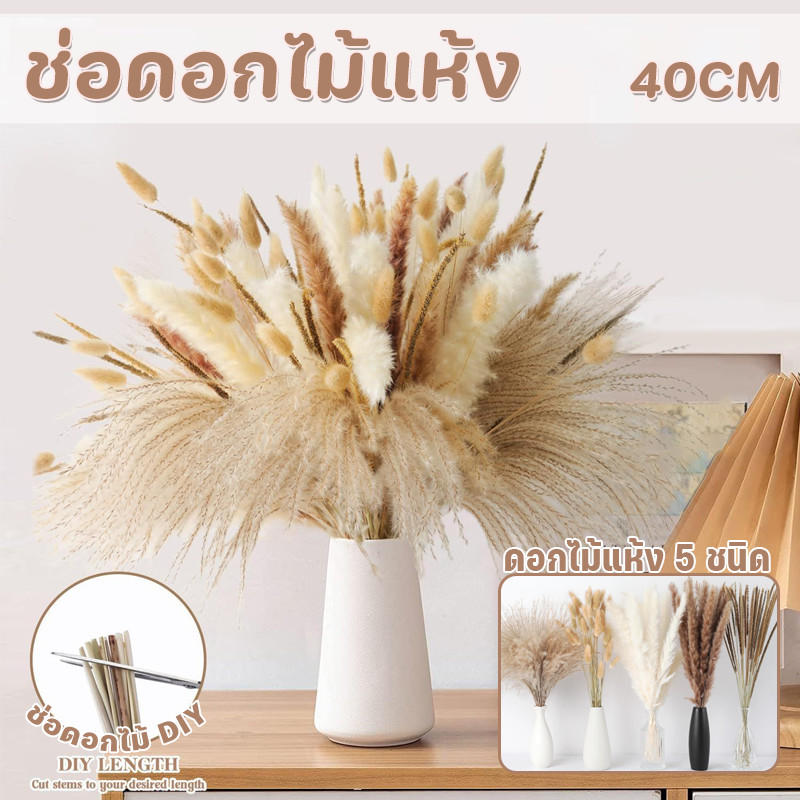 COD ช่อดอกไม้แห้ง DIY ไม่ร่วงโรย ช่อดอกไม้รวม สไตล์นอร์ดิก หญ้าเปมเปาส หญ้าโลวีต์เล็ก แต่งบ้าน ของขวัญ