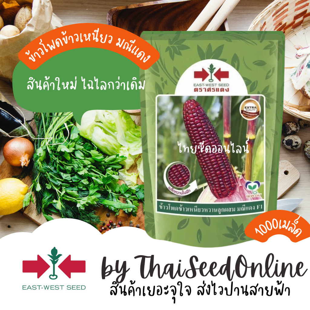 Sorndang(ศรแดง) EWCOM EXP. 7/2027 เมล็ดพันธุ์ข้าวโพดข้าวเหนียวหวานสีม่วงล้วน มณีแดง 1,000 เมล็ด ตราศรแดง