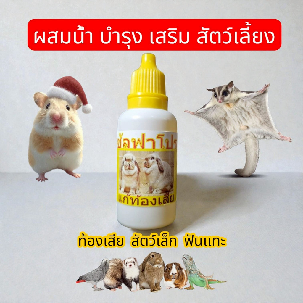 บำรุงหนูแฮมเตอร์ กระต่าย /ฝาเหลือง เเก้ท้องเสีย ส่งด่วนมาก