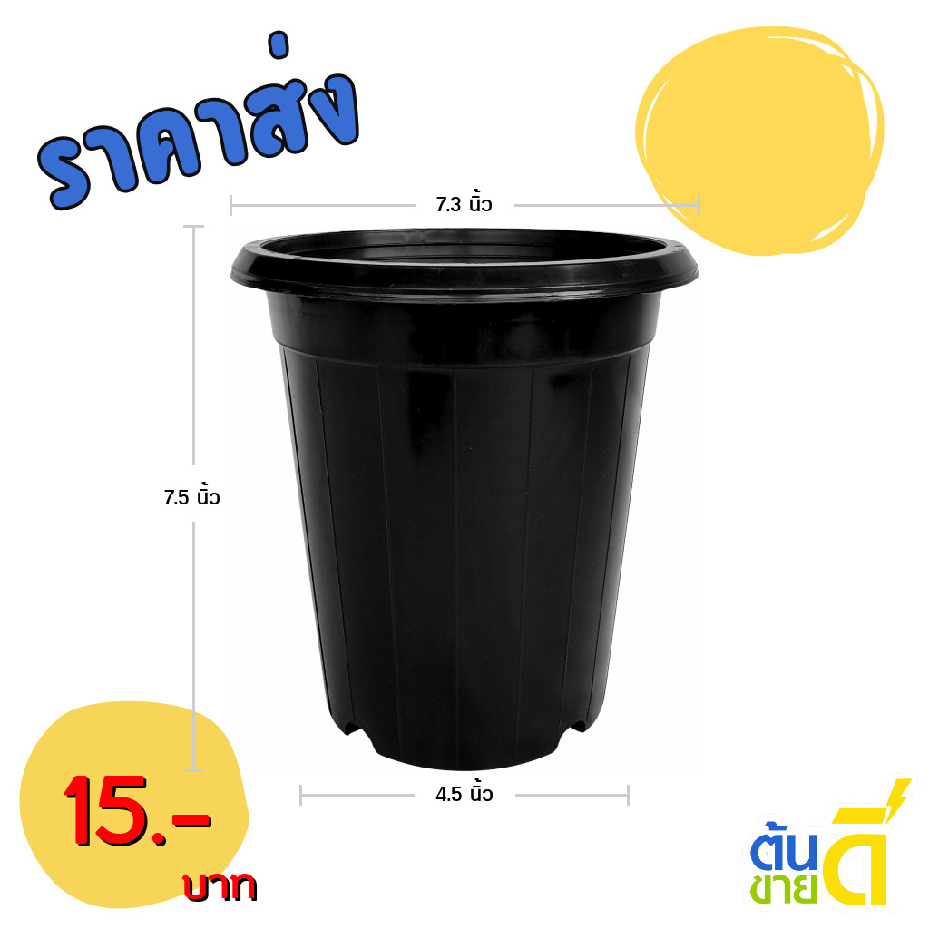 กระถาง กระถางต้นไม้ กระถางทรงสูง ขนาด เบอร์ 7 7.3 นิ้ว สีดำ 10 ใบ ชิ้น อัน ขั้นต่ำ 10 ใบ ชิ้น อัน