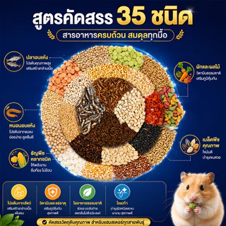 อาหารหนูแฮมเตอร์ อาหารดอร์เมาส์ผสม 400ML ขนมขบเคี้ยวฟันกรามหนูแฮมสเตอร์ ส่วนผสมทางโภชนาการที่หลากหลาย