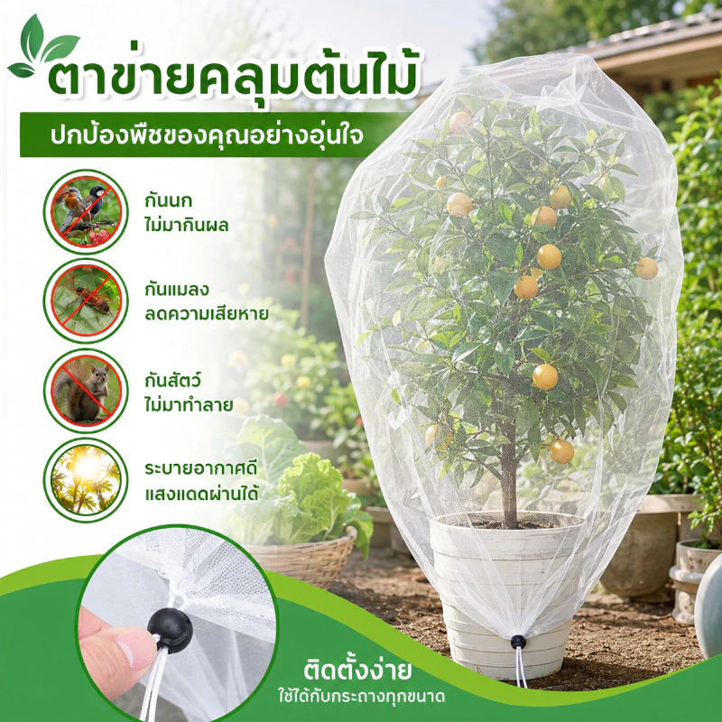 ตาข่ายคลุมต้นไม้ ตาข่ายป้องกันนกพืช ถุงตาข่ายกันแมลงขนาดใหญ่ ชิ้นพืชป้องกันตาข่ายปกระบายอากาศ