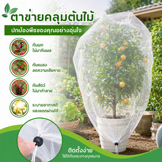 ตาข่ายคลุมต้นไม้ ตาข่ายป้องกันนกพืช ถุงตาข่ายกันแมลงขนาดใหญ่ ชิ้นพืชป้องกันตาข่ายปกระบายอากาศ