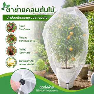 ตาข่ายคลุมต้นไม้ ตาข่ายป้องกันนกพืช ถุงตาข่ายกันแมลงขนาดใหญ่ ชิ้นพืชป้องกันตาข่ายปกระบายอากาศ