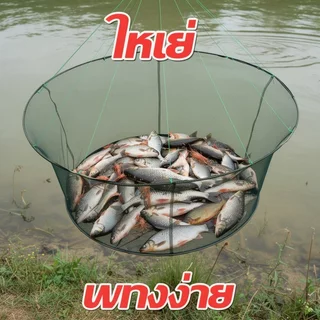 กระชังดักปลา ตาข่ายดักปลา ยอยกปลา พับได้ พกพาง่าย ดักกุ้ง ดักปู อวนดักปลา ตาข่ายไนลอน